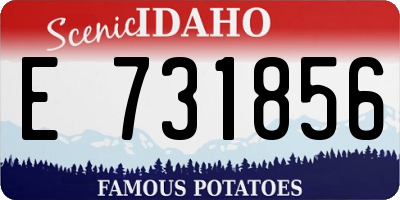 ID license plate E731856