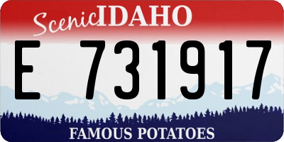 ID license plate E731917