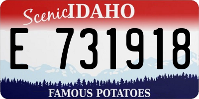 ID license plate E731918