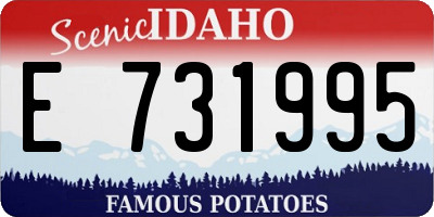 ID license plate E731995