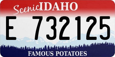 ID license plate E732125
