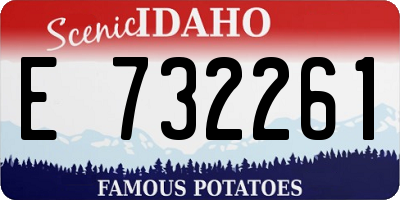 ID license plate E732261