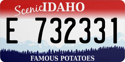 ID license plate E732331