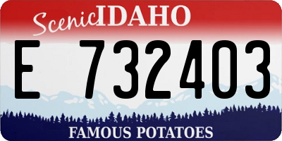 ID license plate E732403