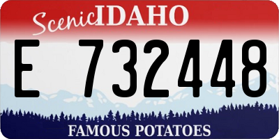 ID license plate E732448