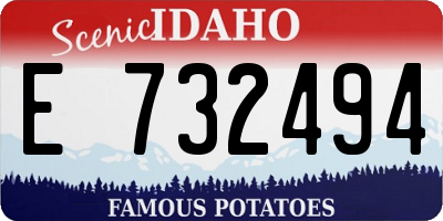 ID license plate E732494