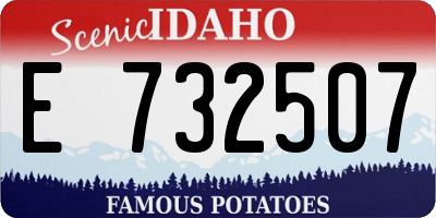 ID license plate E732507