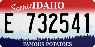 ID license plate E732541