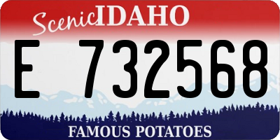 ID license plate E732568