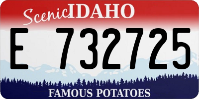ID license plate E732725