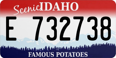 ID license plate E732738