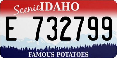ID license plate E732799
