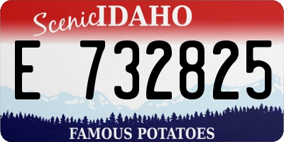 ID license plate E732825