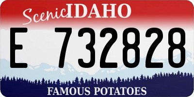 ID license plate E732828