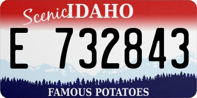 ID license plate E732843