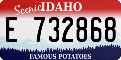 ID license plate E732868