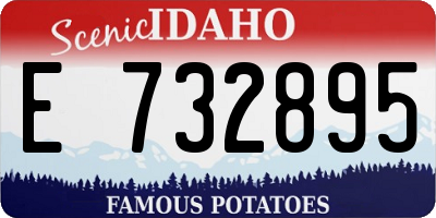 ID license plate E732895