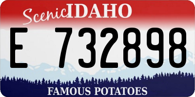 ID license plate E732898
