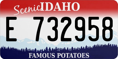 ID license plate E732958