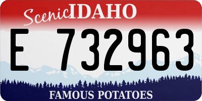 ID license plate E732963