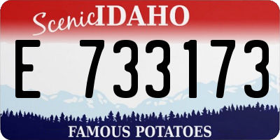 ID license plate E733173
