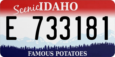 ID license plate E733181
