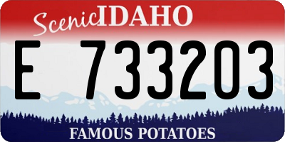 ID license plate E733203