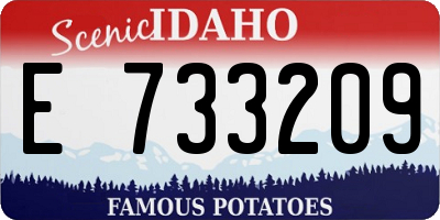 ID license plate E733209