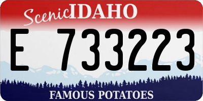 ID license plate E733223