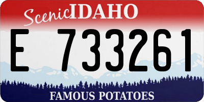 ID license plate E733261