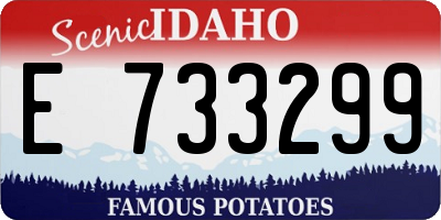 ID license plate E733299