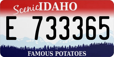 ID license plate E733365