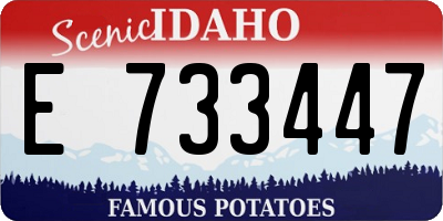 ID license plate E733447