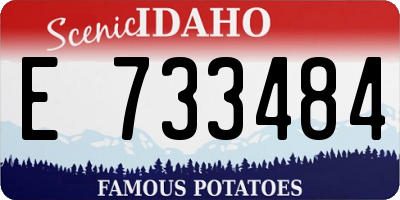 ID license plate E733484