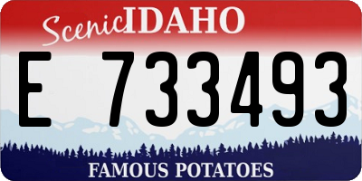 ID license plate E733493