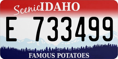 ID license plate E733499
