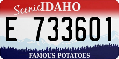 ID license plate E733601