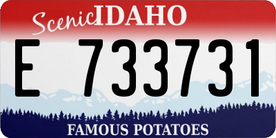 ID license plate E733731