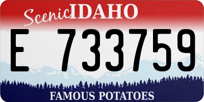 ID license plate E733759