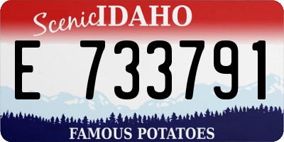 ID license plate E733791