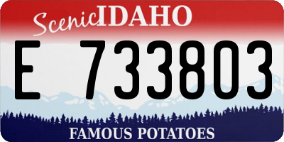 ID license plate E733803