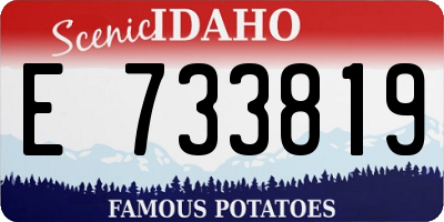 ID license plate E733819