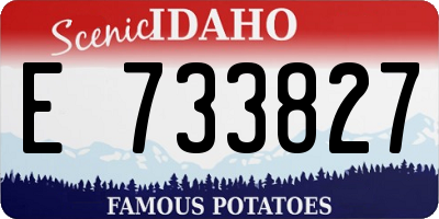 ID license plate E733827