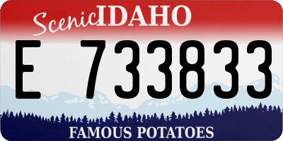ID license plate E733833