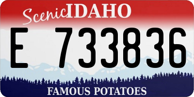 ID license plate E733836