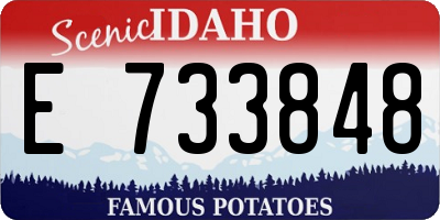 ID license plate E733848