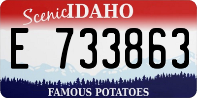 ID license plate E733863