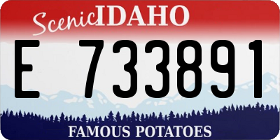 ID license plate E733891