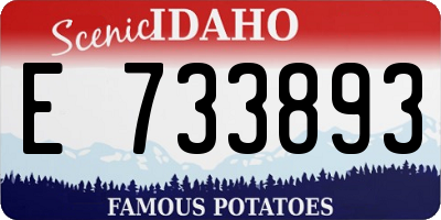 ID license plate E733893
