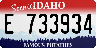 ID license plate E733934